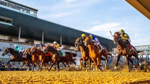Aqueduct, Noel Michaels handicapping, Americas Best Racing Sunday Selections